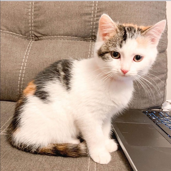 Meet your Posher, Kimberly - Picture 1 of 1